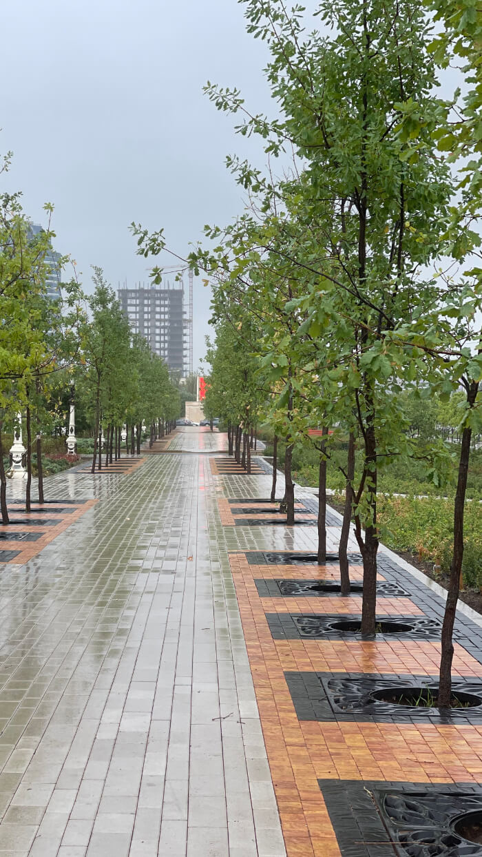 Приствольная решетка для дерева ZKING CRUST 1.2х1.2м Черная в Чите фото