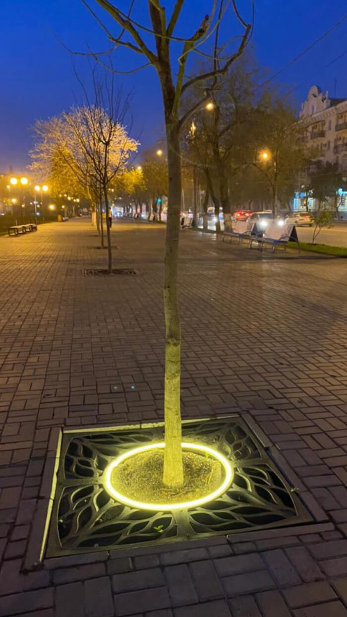 Приствольная решетка для дерева ZKING CRUST 1.2х1.2м Черная в Чите фото